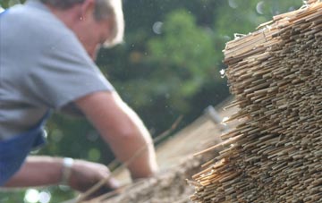 professional Parrog thatchers