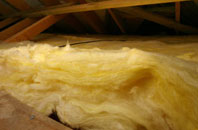 Parrog pitch roof insulation